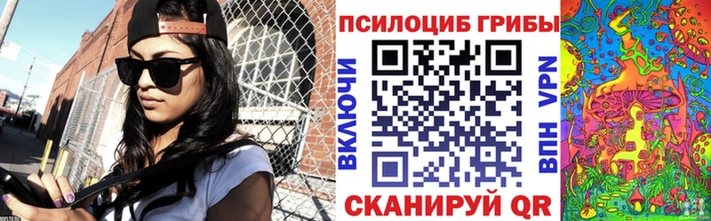 Псилоцибиновые грибы Cubensis Хадыженск