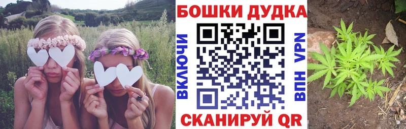 хочу наркоту  Хадыженск  Бошки Шишки ГИДРОПОН 